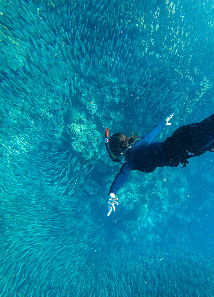 IAキャラクター